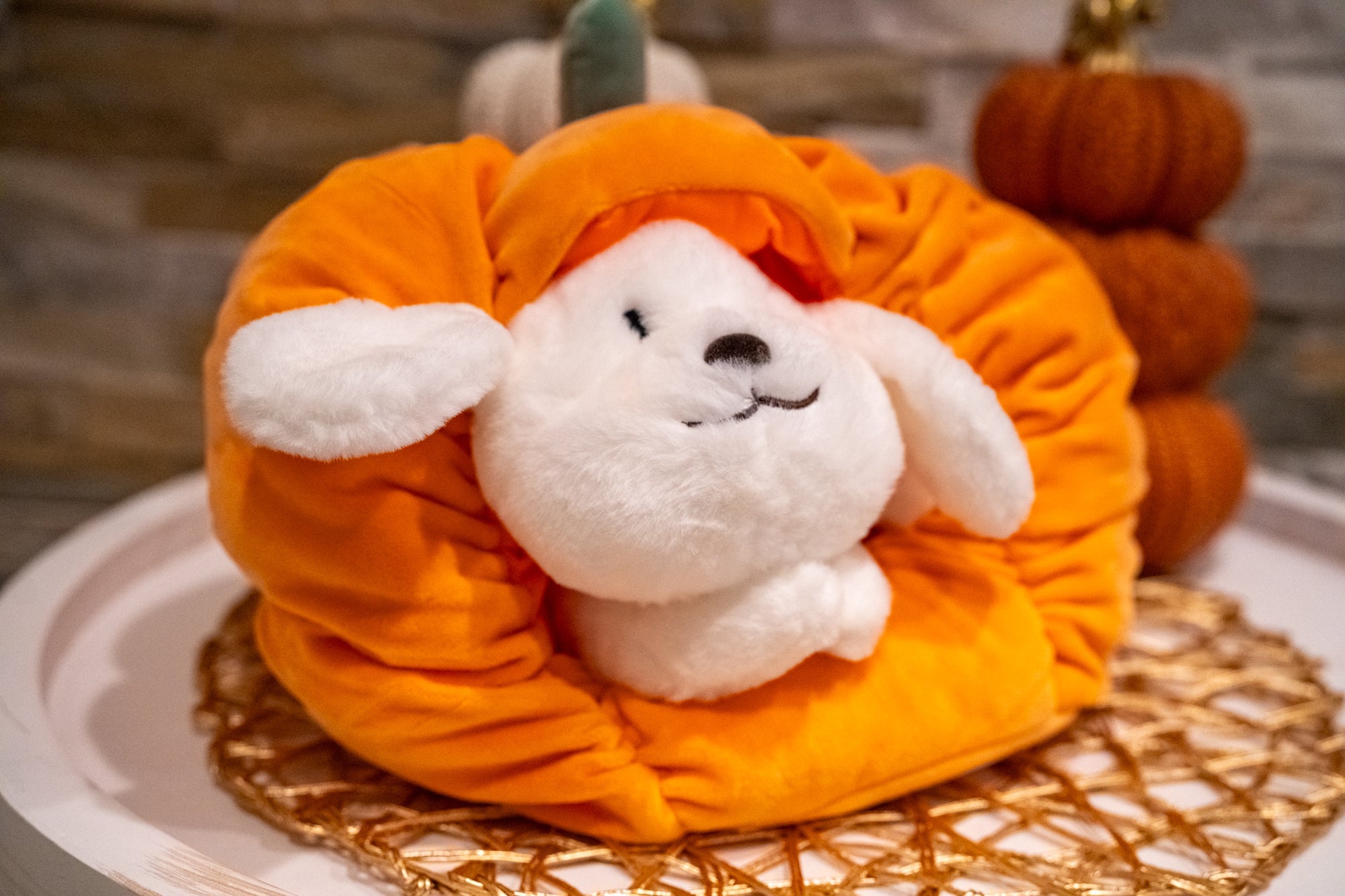 Pumpkin Kisses Pup Pillow