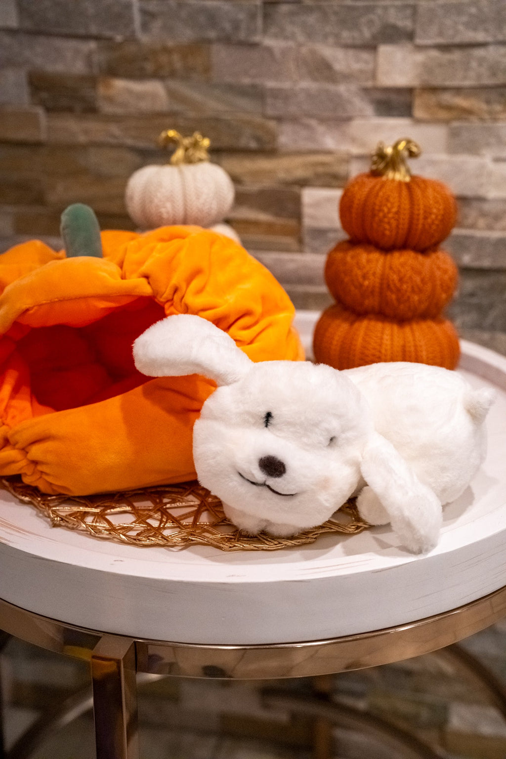 Pumpkin Kisses Pup Pillow