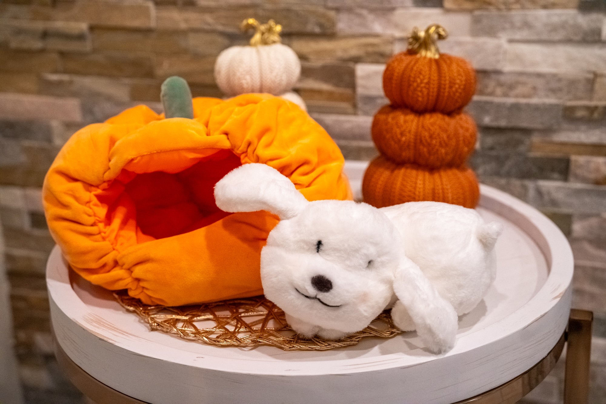 Pumpkin Kisses Pup Pillow