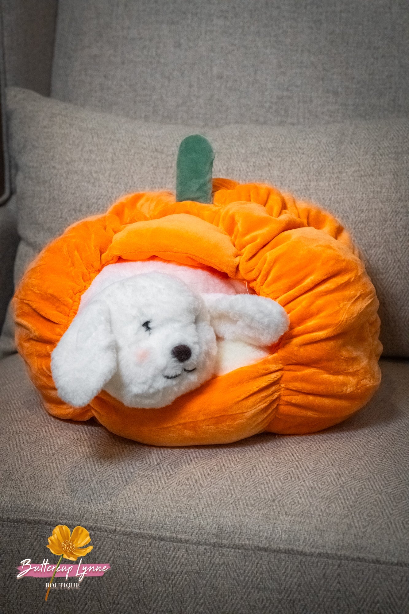 Pumpkin Kisses Pup Pillow