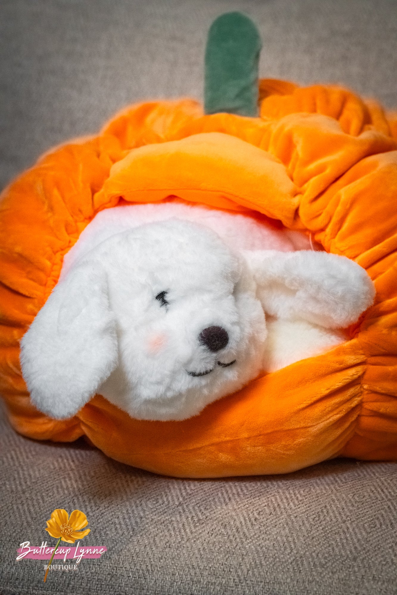 Pumpkin Kisses Pup Pillow
