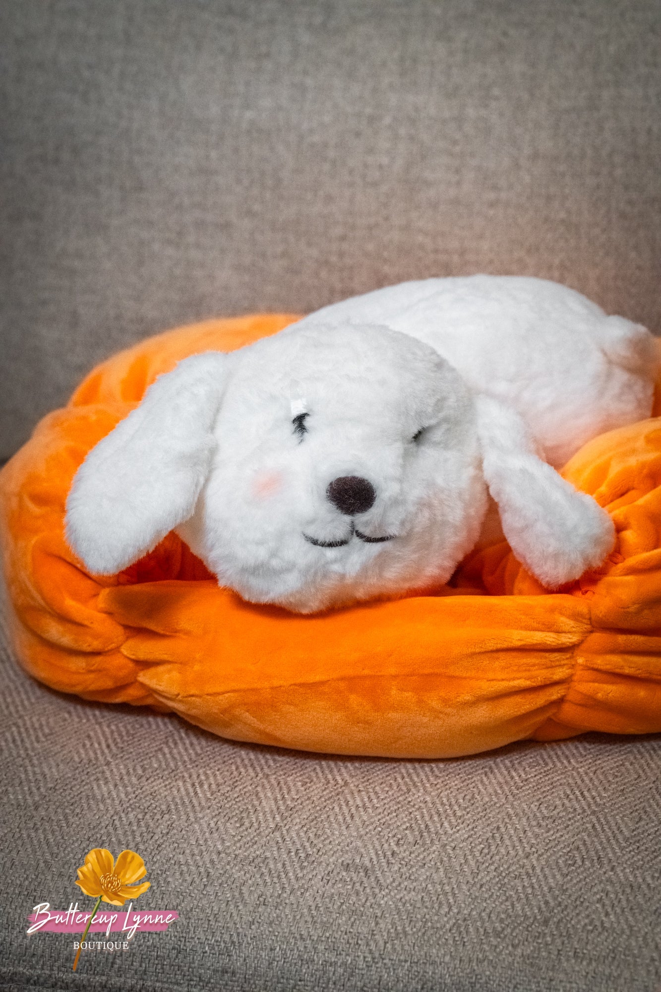 Pumpkin Kisses Pup Pillow